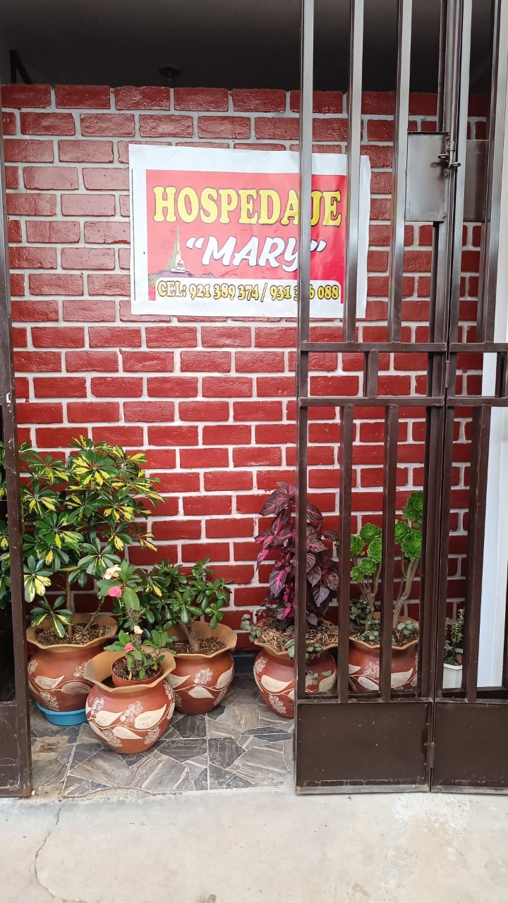 MG. Odón Guillen Pérez - Director Ejecutivo